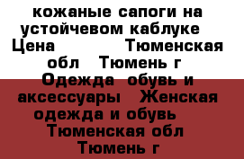 кожаные сапоги на устойчевом каблуке › Цена ­ 1 300 - Тюменская обл., Тюмень г. Одежда, обувь и аксессуары » Женская одежда и обувь   . Тюменская обл.,Тюмень г.